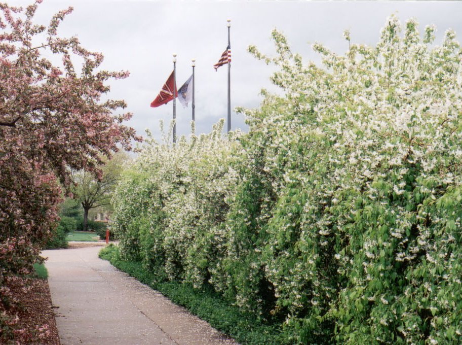 unl 1.jpg